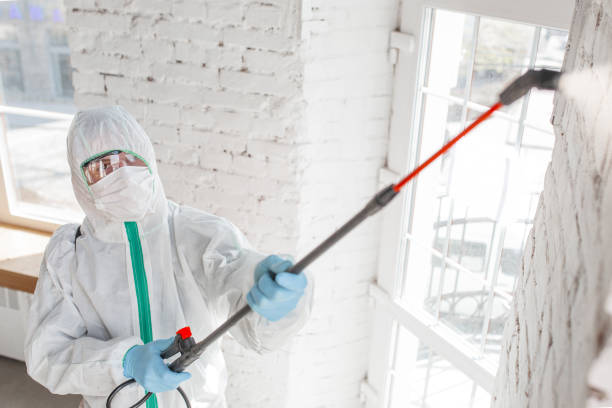 Perry, IA Mold Remediation Company